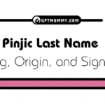 Pinjic Last Name Meaning, Origin, and Significance