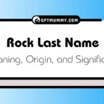 Rock Last Name Meaning, Origin, Family History, Significance