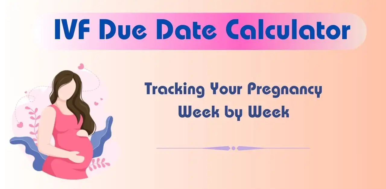 IVF Due Date Calculator Tracking Your Pregnancy Week by Week